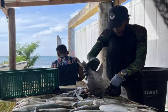Pescadores colombianos