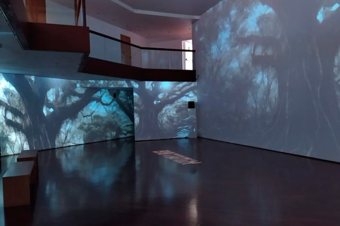 El “Paisaje Expandido” de Ricardo Arispe