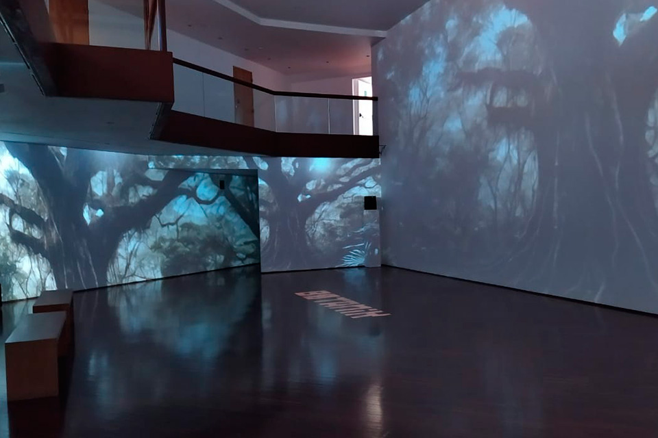 El “Paisaje Expandido” de Ricardo Arispe