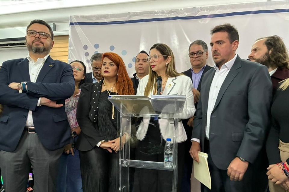 Diputados Grupo parlamentario Libertad