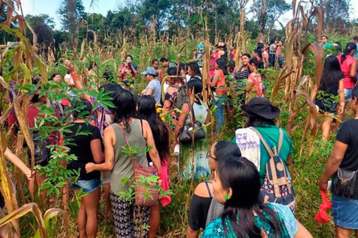 La importancia del cuidado ambiental en América Latina