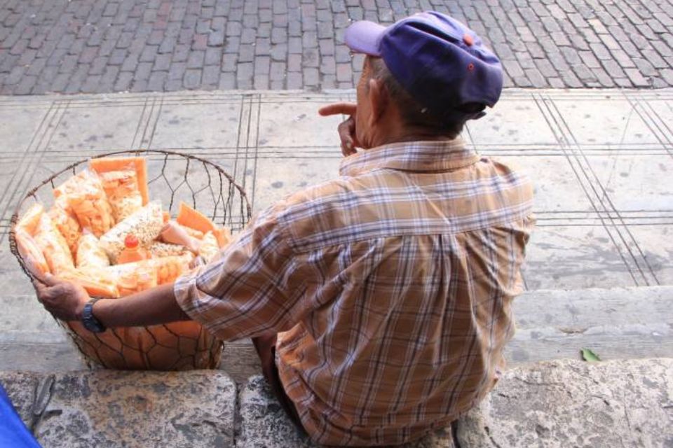 Adultos mayores trabajando