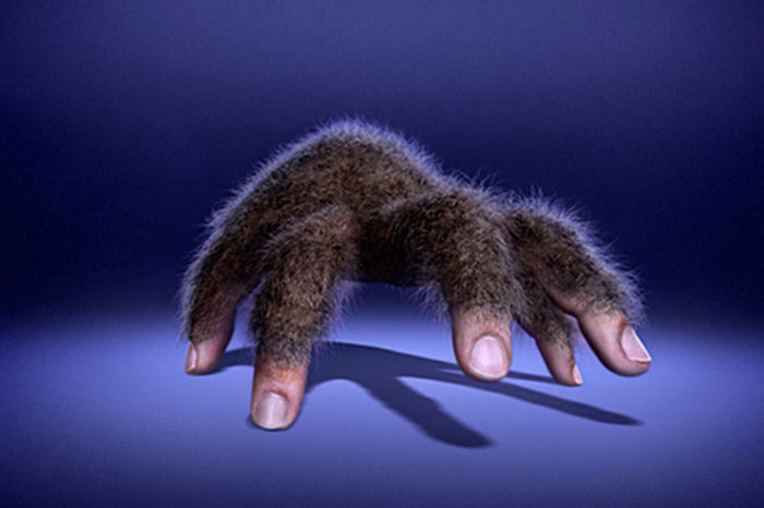 La mano peluda