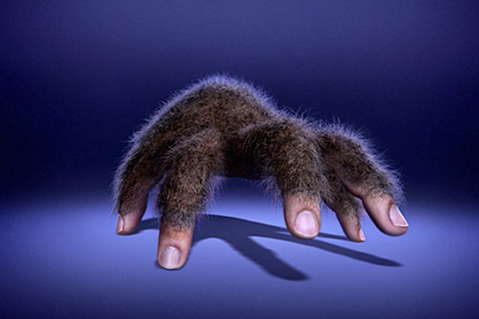 La mano peluda