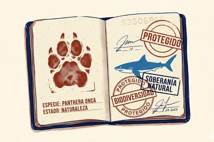 Cómo proteger la vida silvestre más allá de la jurisdicción nacional