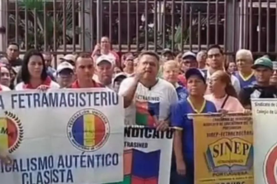 Docentes