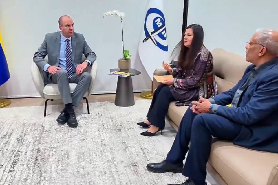 devoe , mp amnistía internacional