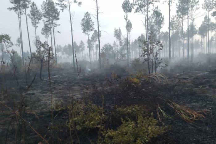 Incendios