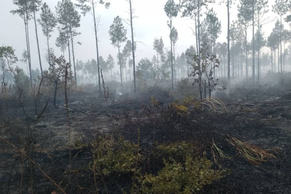 Incendios
