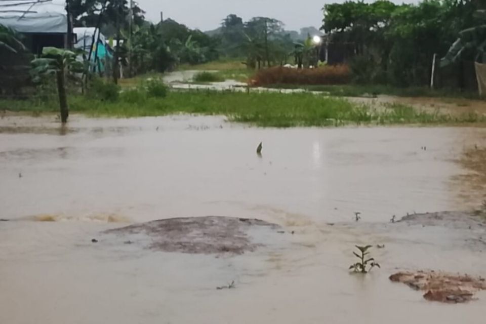 Lluvias