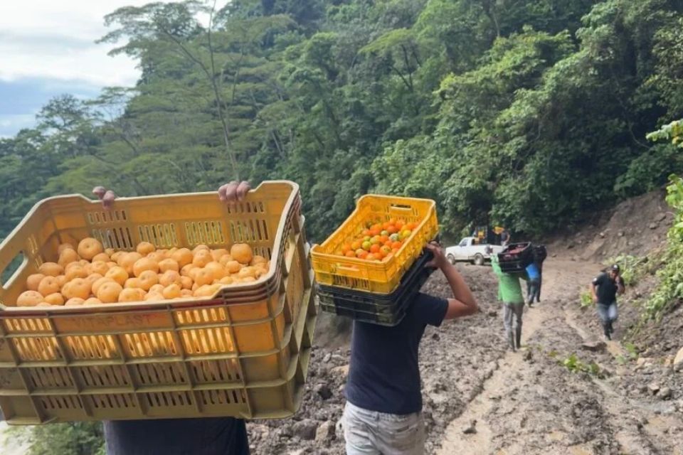 Productores agrícolas Táchira