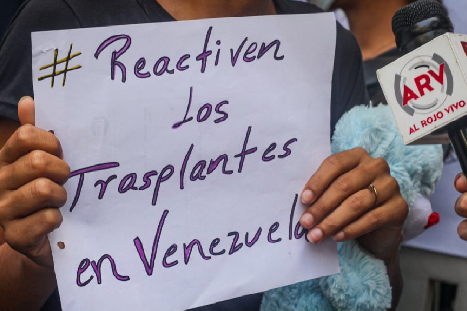 trasplantes