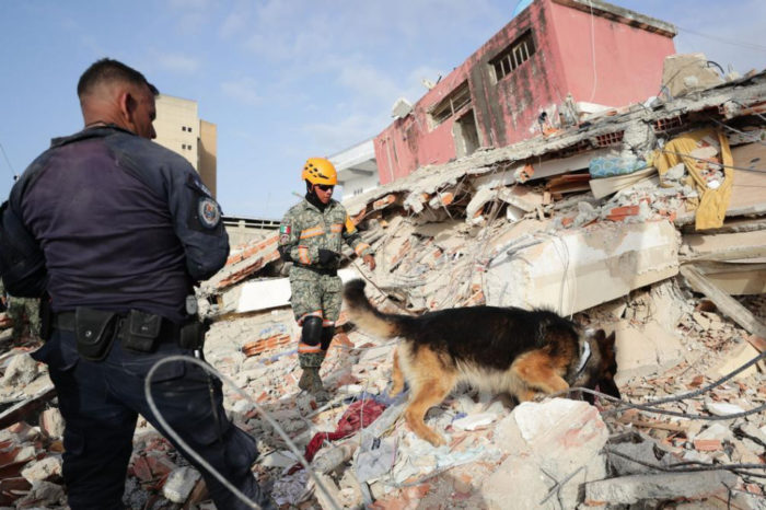 rescatistas post terremoto venezuela méxico 0033