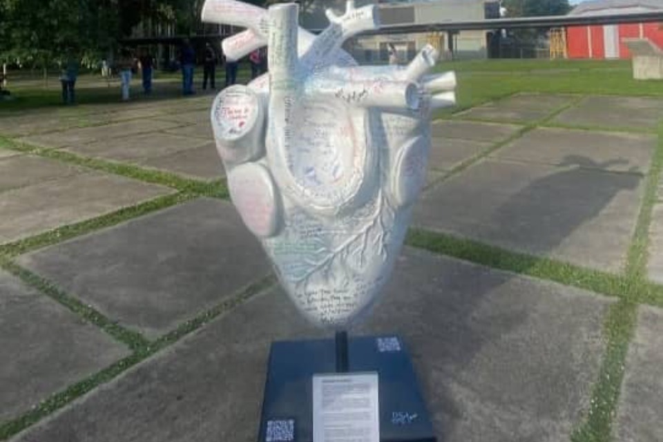 "Corazón en Blanco"